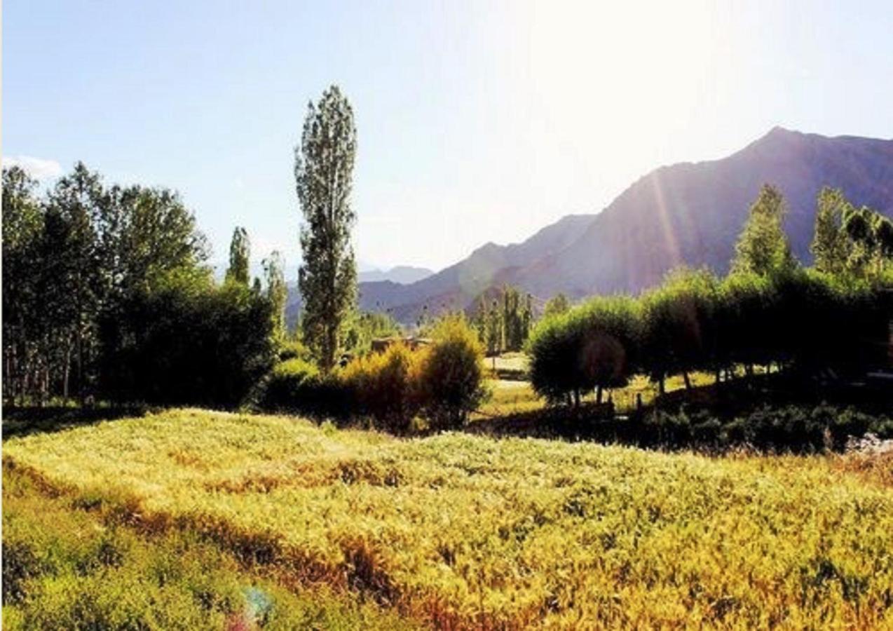Отель Himalayan Residency Ladakh Лех Экстерьер фото